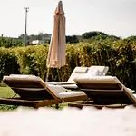 Tenuta Calitto Wine E * Sant'Angelo (Isola d'Ischia)