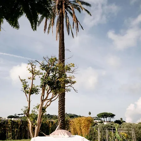 Tenuta Calitto Wine E * Sant'Angelo (Isola d'Ischia)