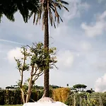 Tenuta Calitto Wine E * Sant'Angelo (Isola d'Ischia)