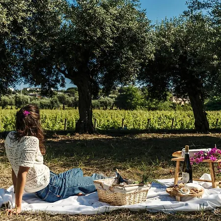 Курортный комплекс Tenuta Calitto Wine E Sant'Angelo (Isola d'Ischia)