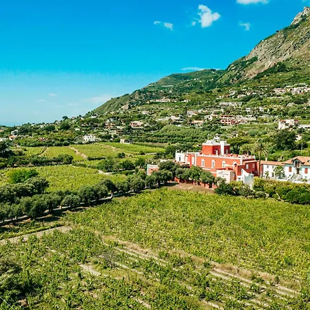 Tenuta Calitto Wine E * Ischia