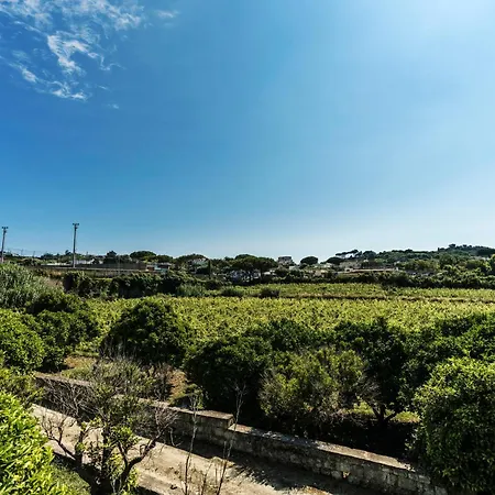 Tenuta Calitto Wine E Курортный комплекс