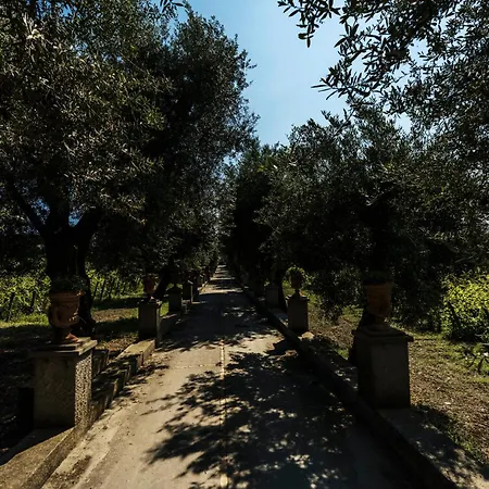 Tenuta Calitto Wine E * Sant'Angelo (Isola d'Ischia)