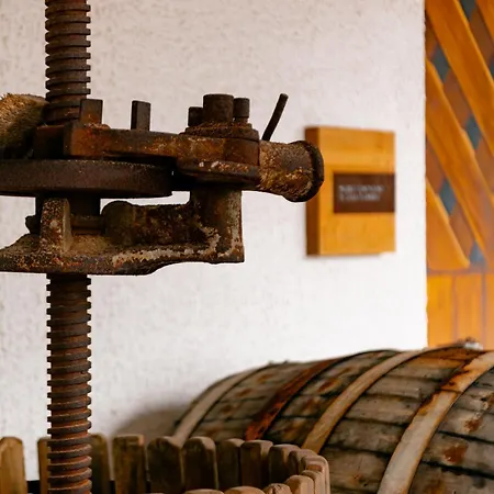 Station touristique Tenuta Calitto Wine E Ischia