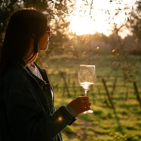 Station touristique Tenuta Calitto Wine E