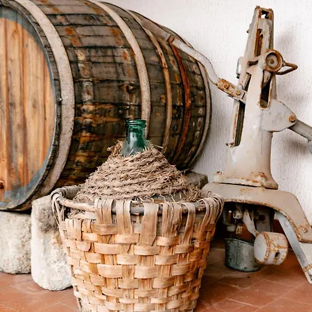 Resort Tenuta Calitto Wine E Ischia