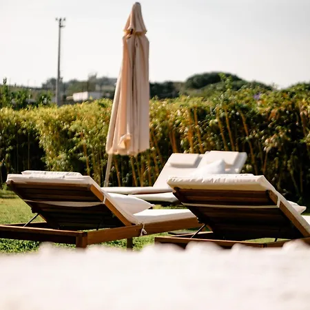 Tenuta Calitto Wine E * Ischia