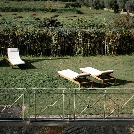 Tenuta Calitto Wine E