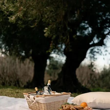 Tenuta Calitto Wine E Ischia