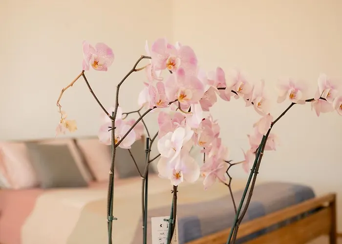 Курортный комплекс Tenuta Calitto Wine E