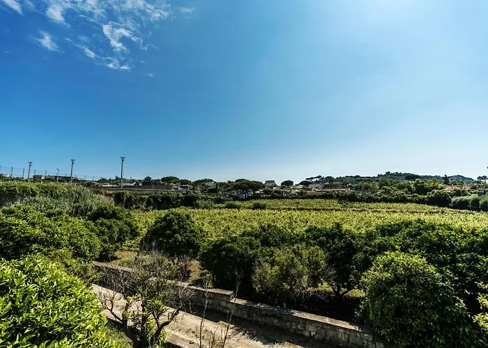 Tenuta Calitto Wine E Курортный комплекс