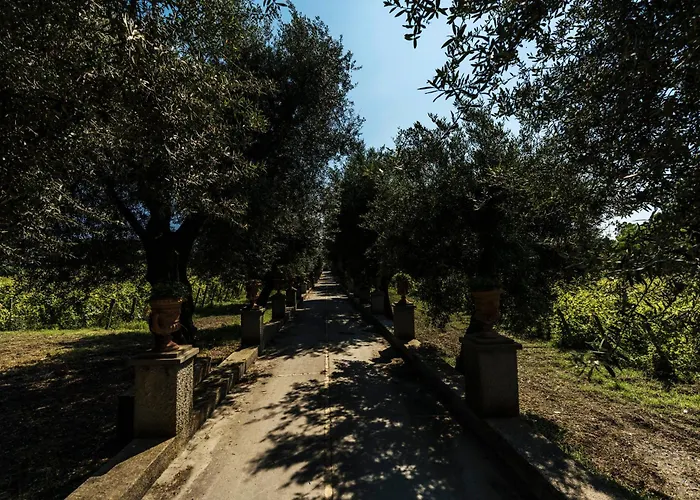 Tenuta Calitto Wine E * Sant'Angelo (Isola d'Ischia)