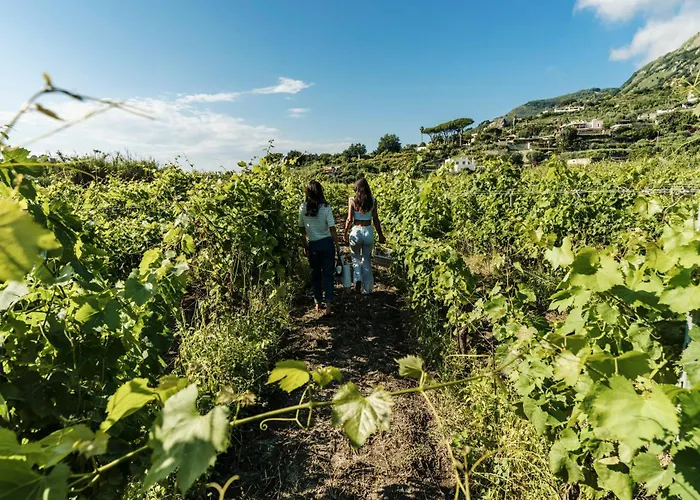 Tenuta Calitto Wine E Курортный комплекс *