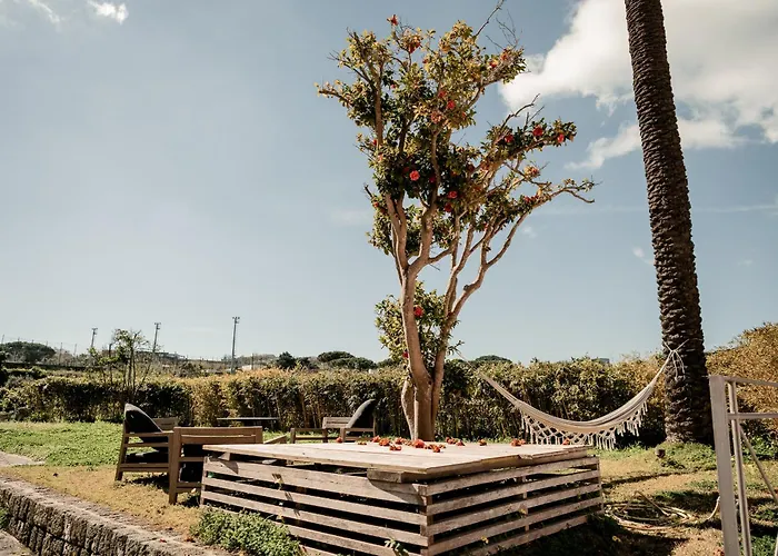 Курортный комплекс Tenuta Calitto Wine E Sant'Angelo (Isola d'Ischia)