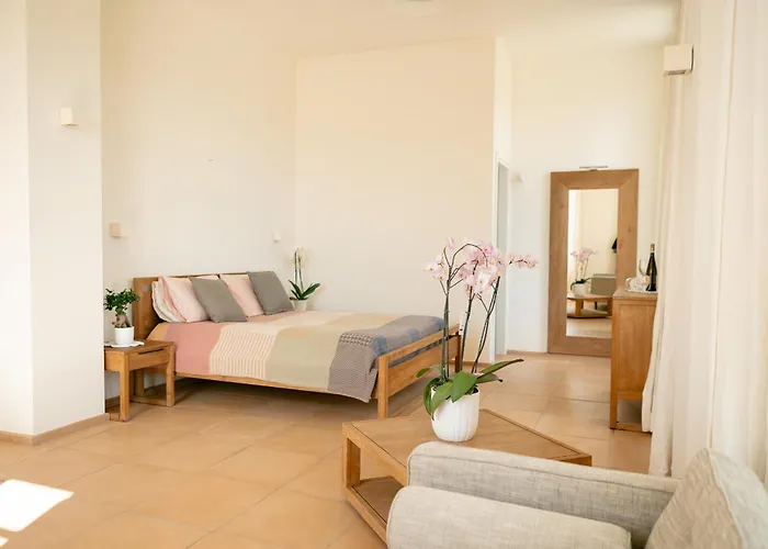 Tenuta Calitto Wine E *