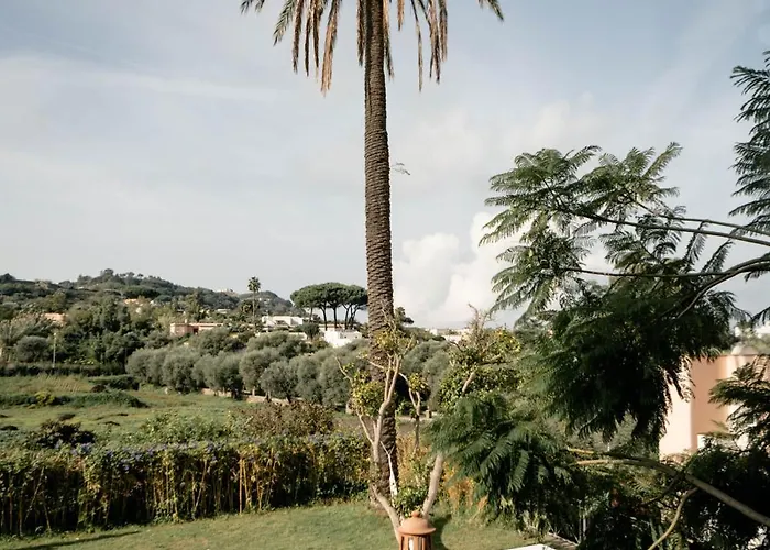 Tenuta Calitto Wine E Курортный комплекс *