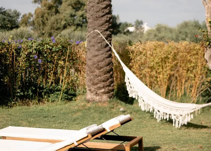 Tenuta Calitto Wine E Sant'Angelo (Isola d'Ischia)