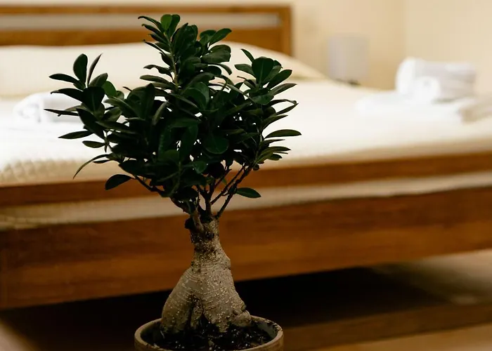 Tenuta Calitto Wine E *