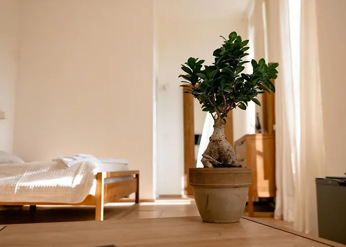 Курортный комплекс Tenuta Calitto Wine E Sant'Angelo (Isola d'Ischia)