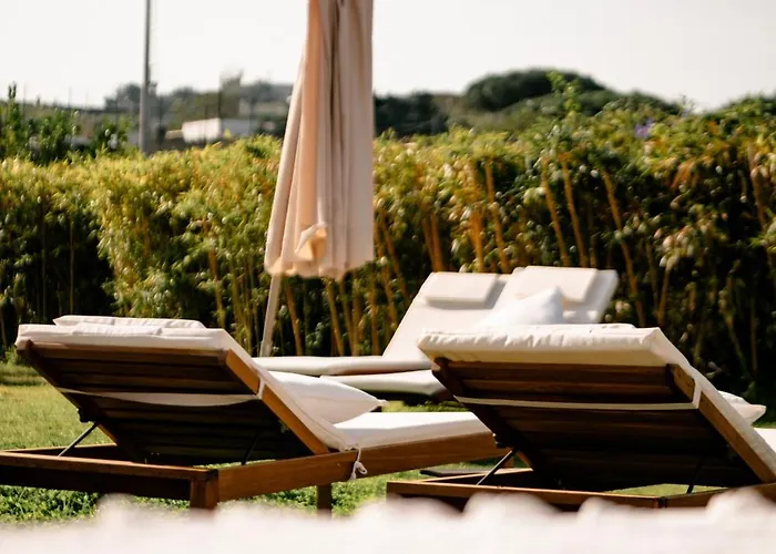 Tenuta Calitto Wine E * Sant'Angelo (Isola d'Ischia)